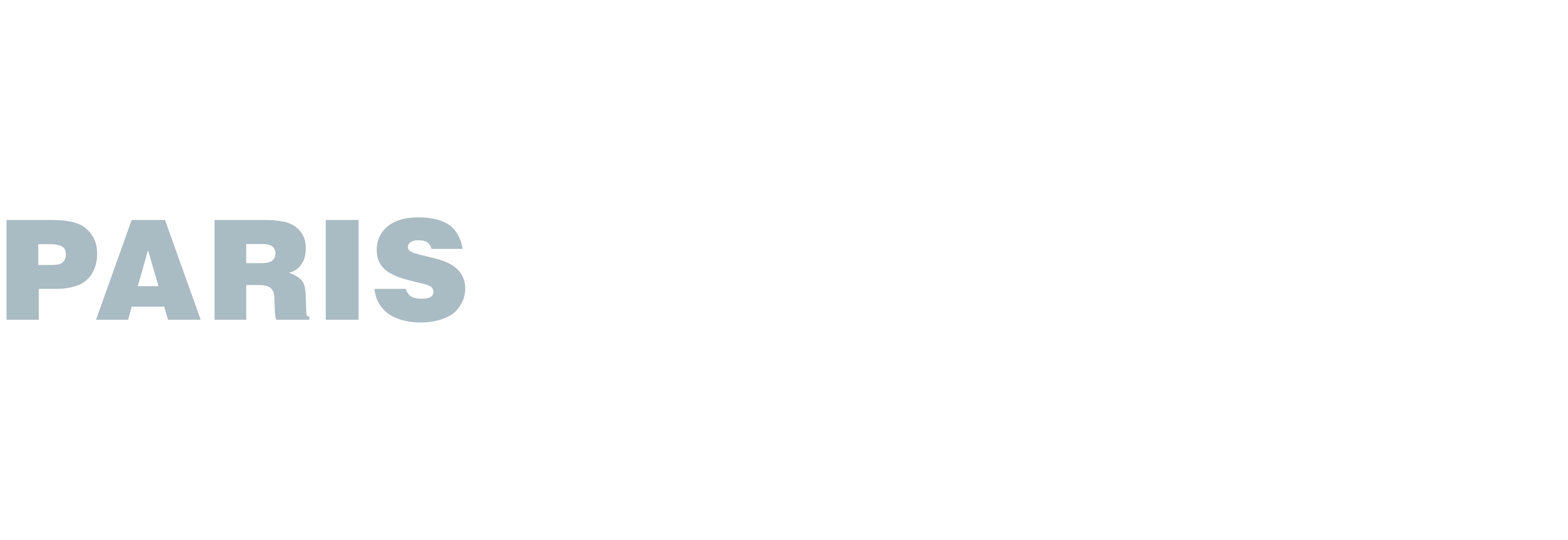 Paris-International-Logo